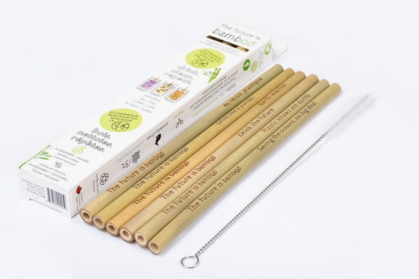 Bamboo Straws + Cleaning Brush
