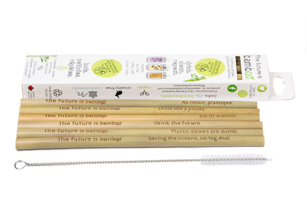 Bamboo Straws + Cleaning Brush