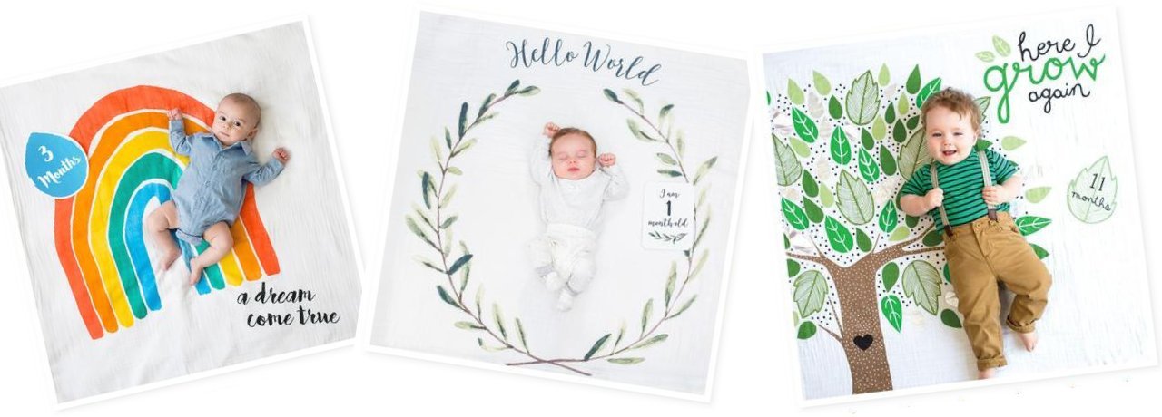 Lulujo Baby's First Year